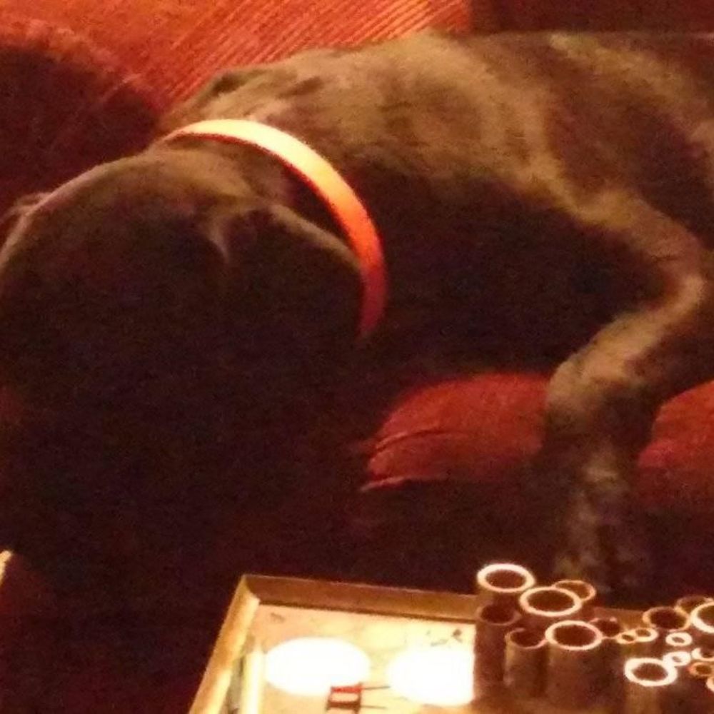 Meet your Posher, Erica